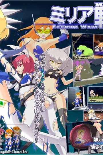 Echidna Wars DX
