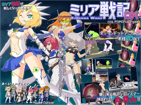 Echidna Wars DX