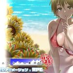 My Secret Summer Vacation - Hanamaru